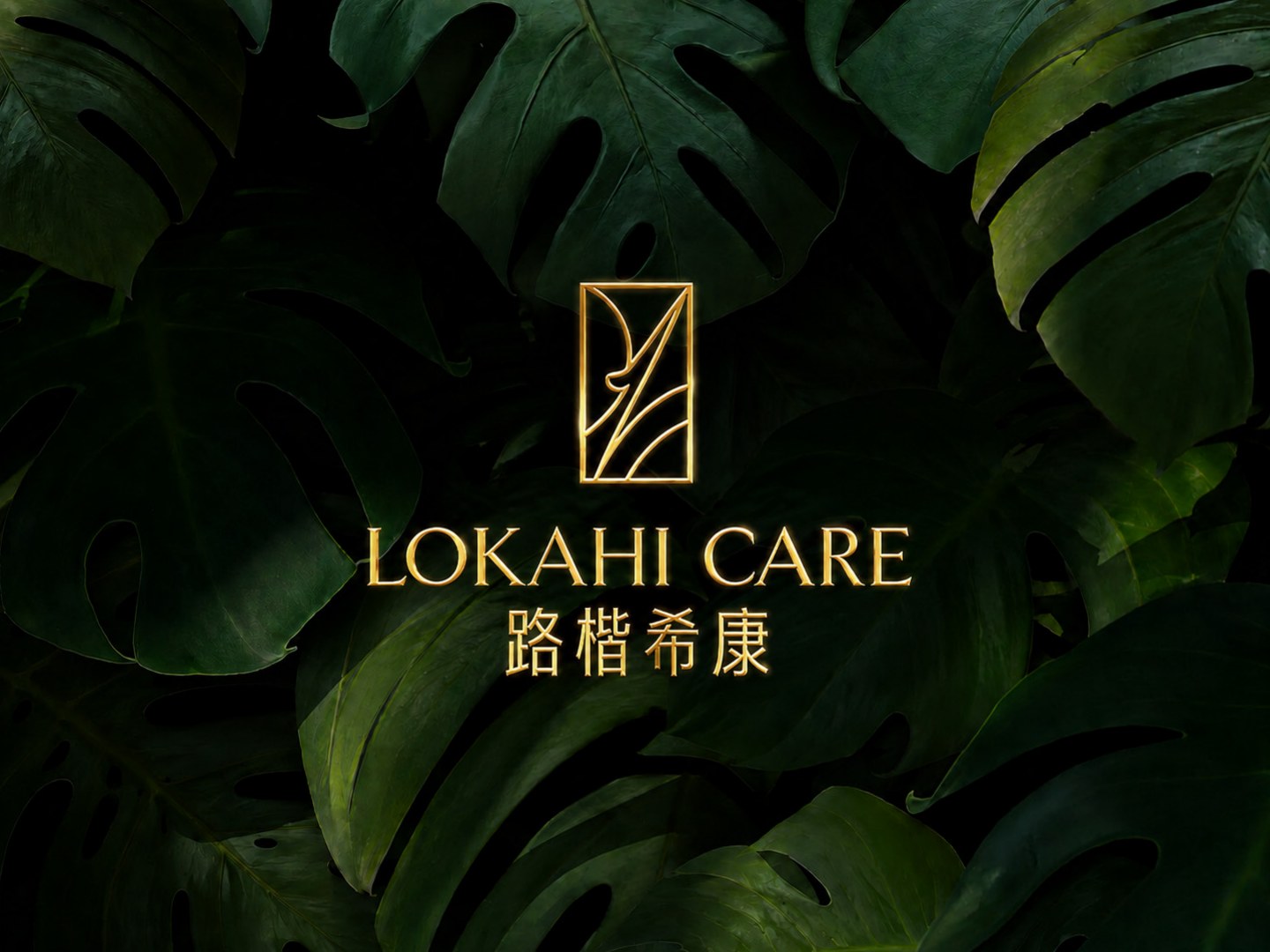 LOKAHI CARE 品牌主视觉