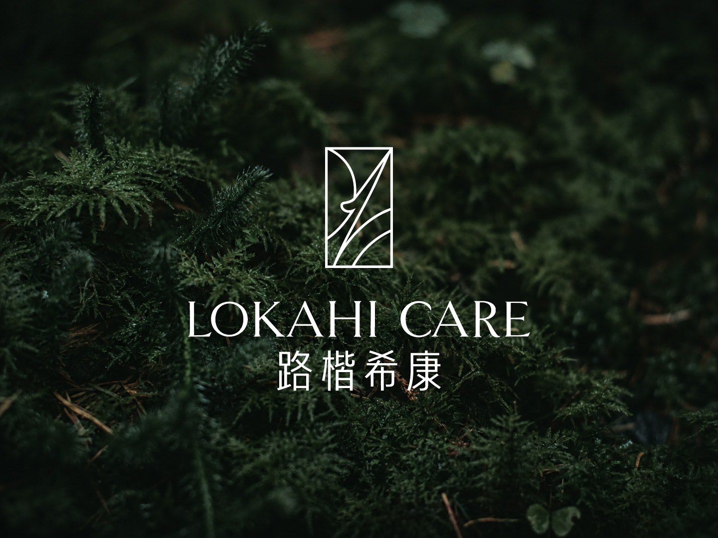 森林背景上的竖版标志